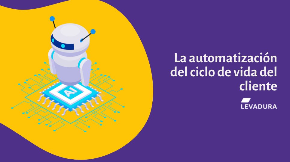 Automatización - Agencia de Marketing Digital